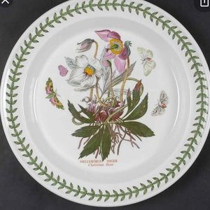 Port Meirion Helleborus Niger dinner plate.